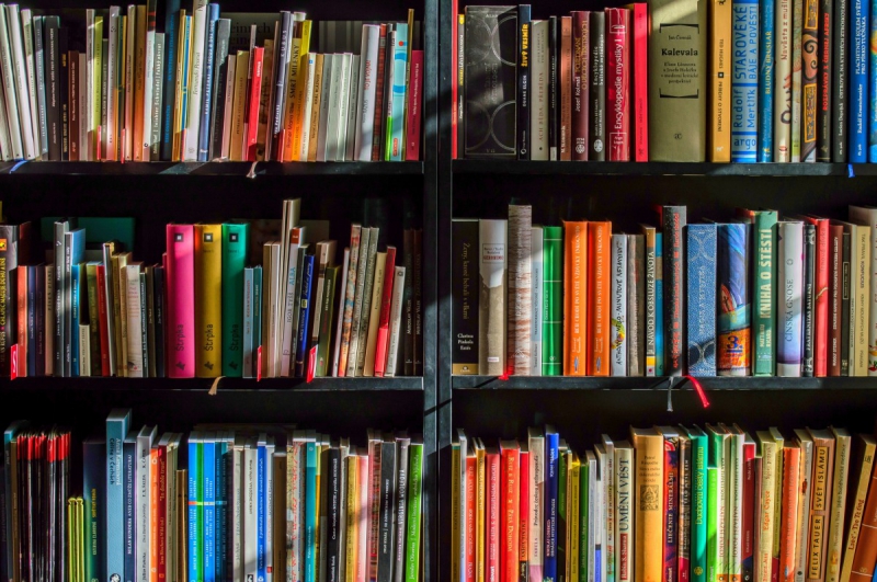vente-SAORGE-min_books_bookstore_book_reading_shop_writer_sale_books_read-822866